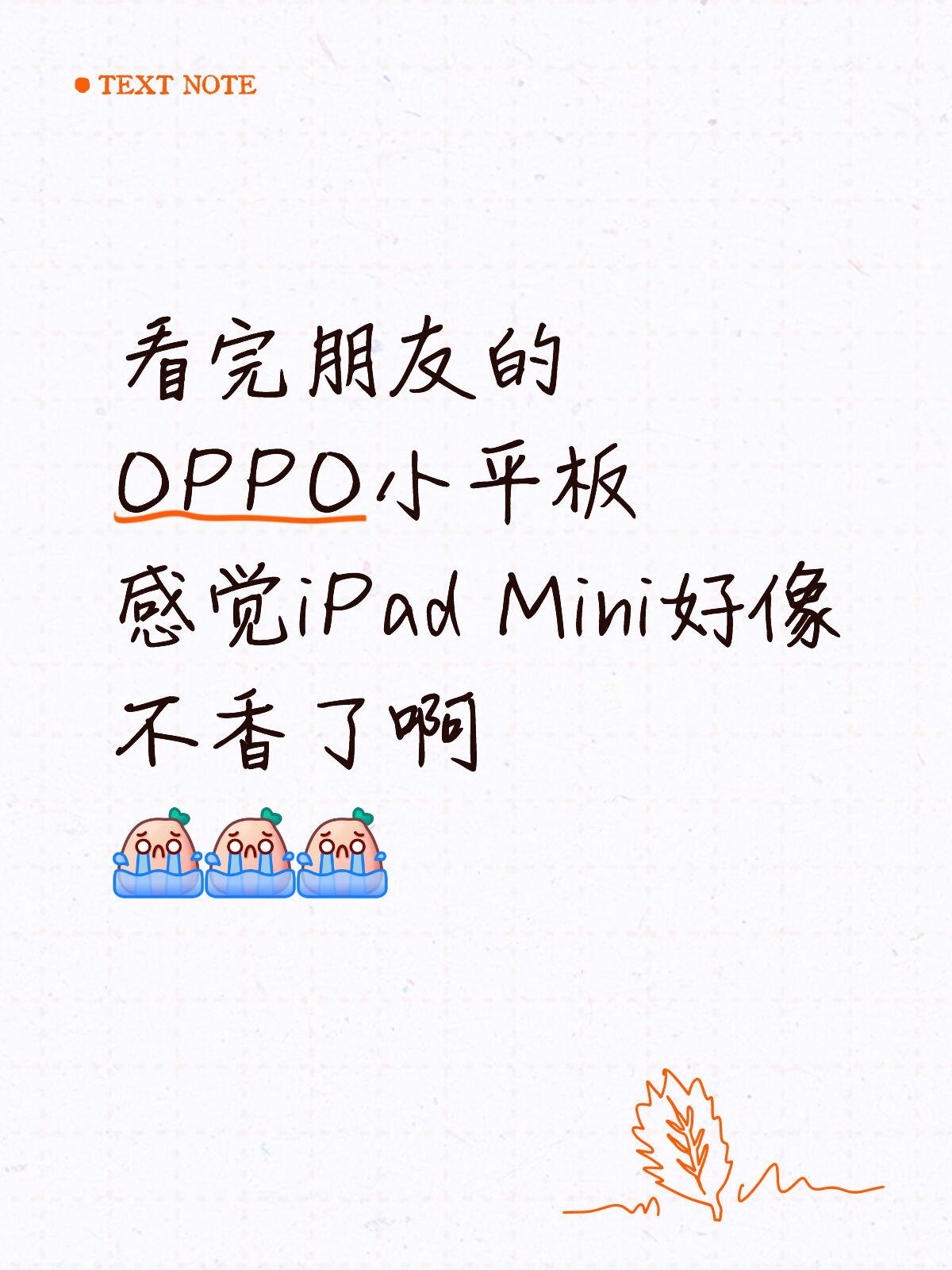 看完OPPO，谁给我一个买iPad mini的理由？

周末去朋友家玩，他知道我
