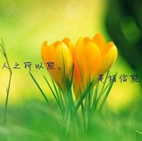 锁宁读读社会