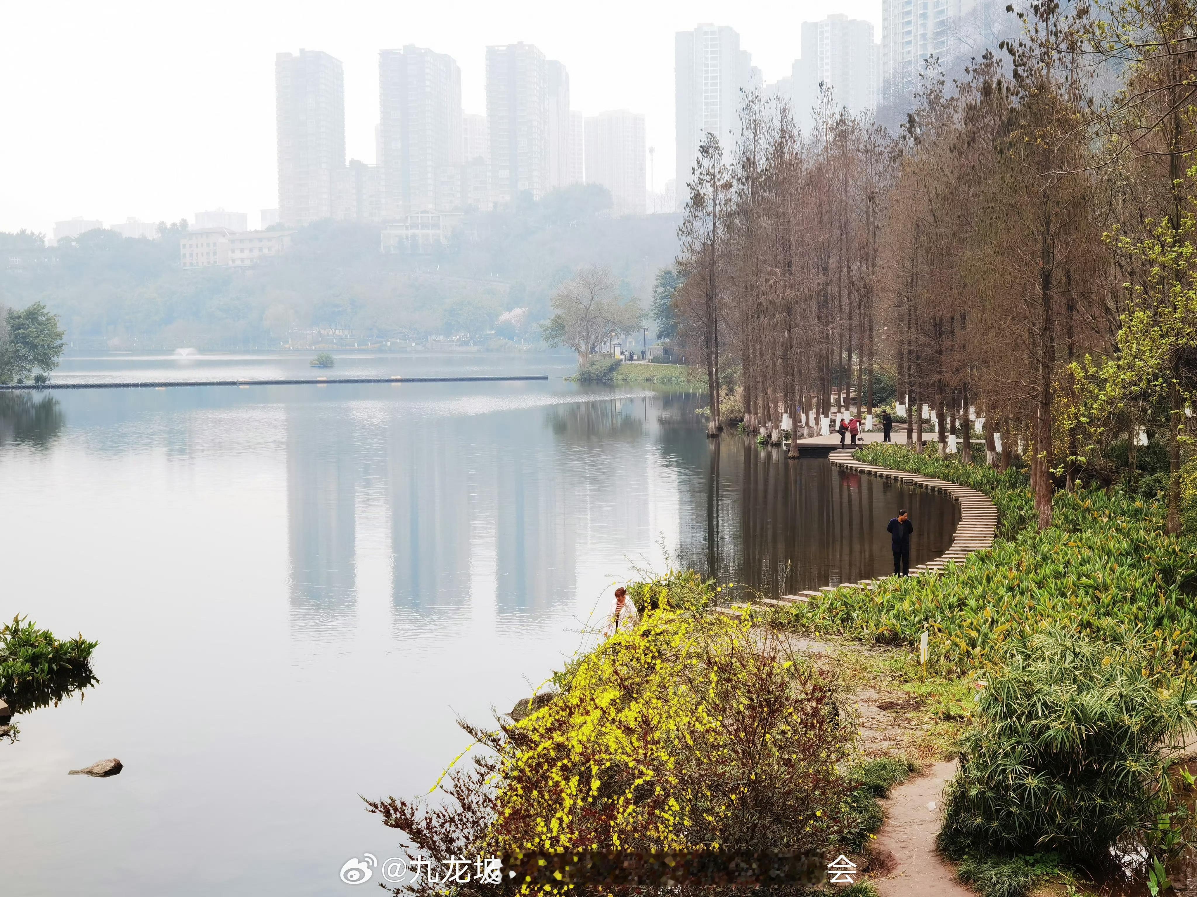#重庆九龙坡3大美景#【春天到这些公园去感受九龙坡的“水·亭·花”三大美景】水-