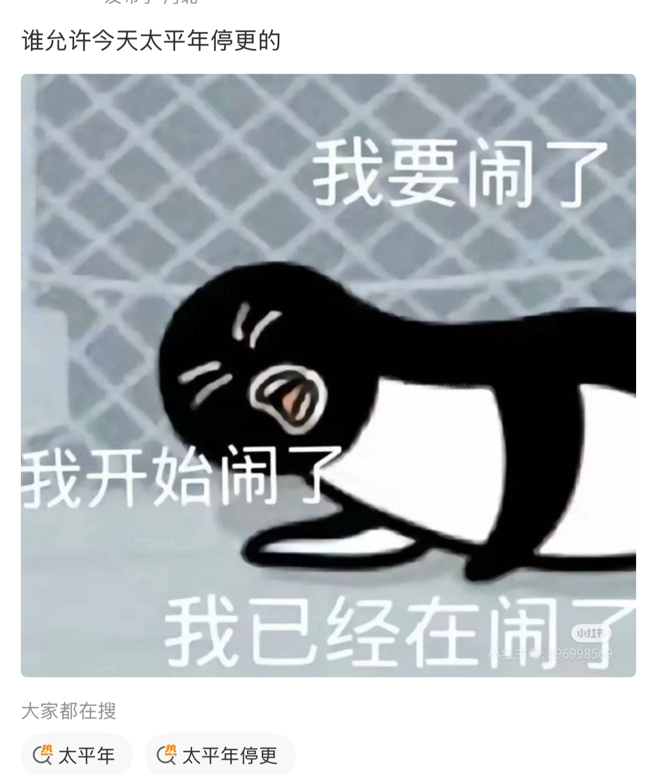 因为昨天🌲播太平年创下新高，直接停更让路，谁来关心我们这些安静追剧的人