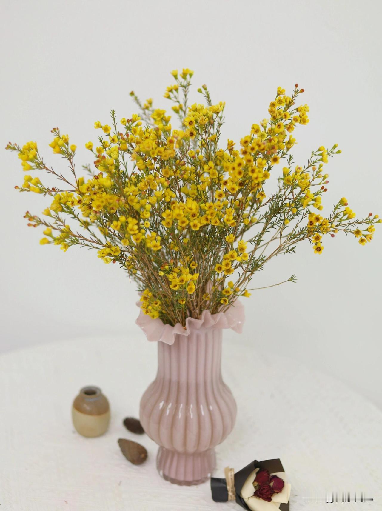 古人的智慧却早已洞明。《孝经》开宗明义：“身体发肤，受之父母，不敢毁伤，孝之始也