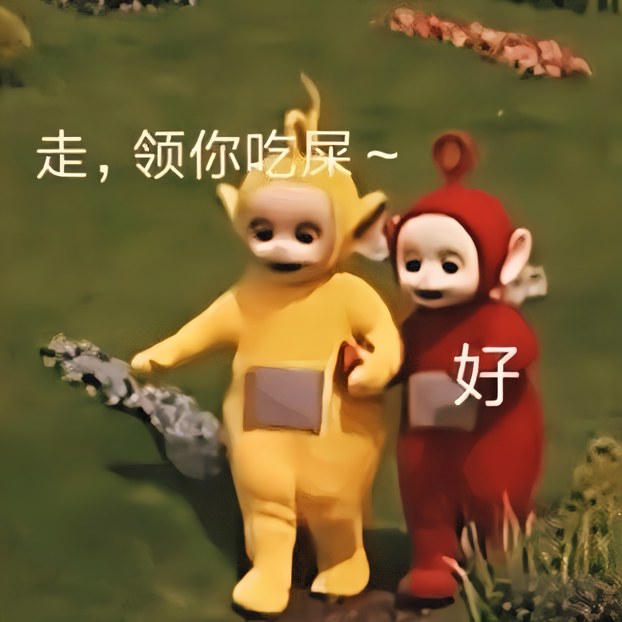 芝士分享个表情包，没有内涵谁和谁的意思[二哈] ​​​