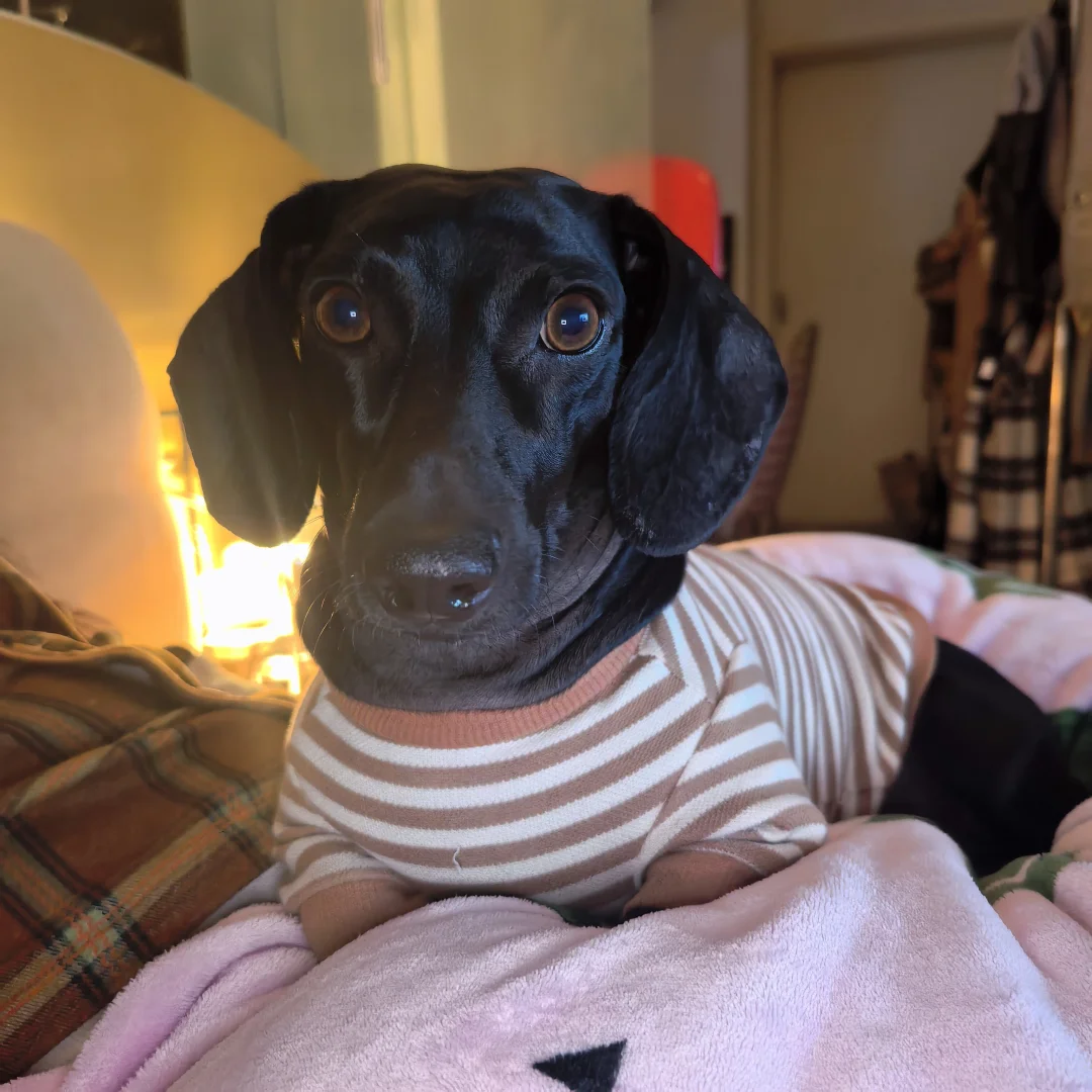 宝宝你的脚呢？