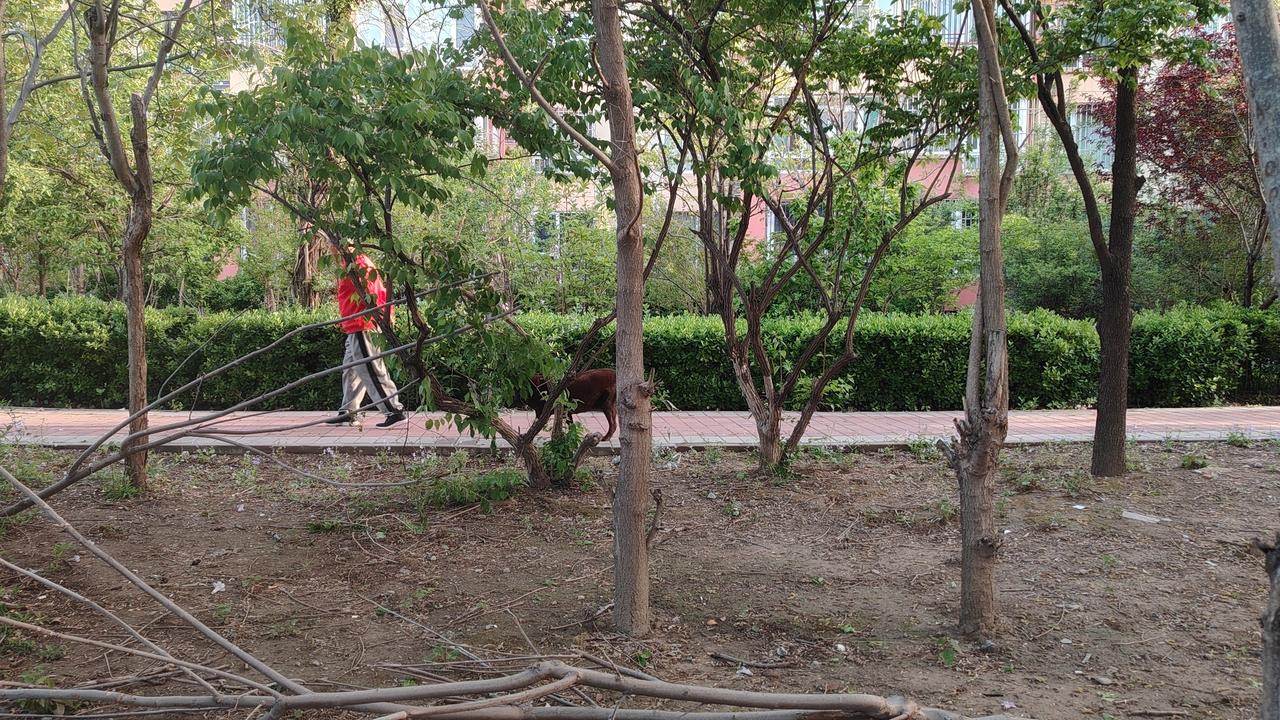 棋中良知：方寸之间的心学修行

棋盘摆定，楚河汉界分明。三十二子各就各位，一场无