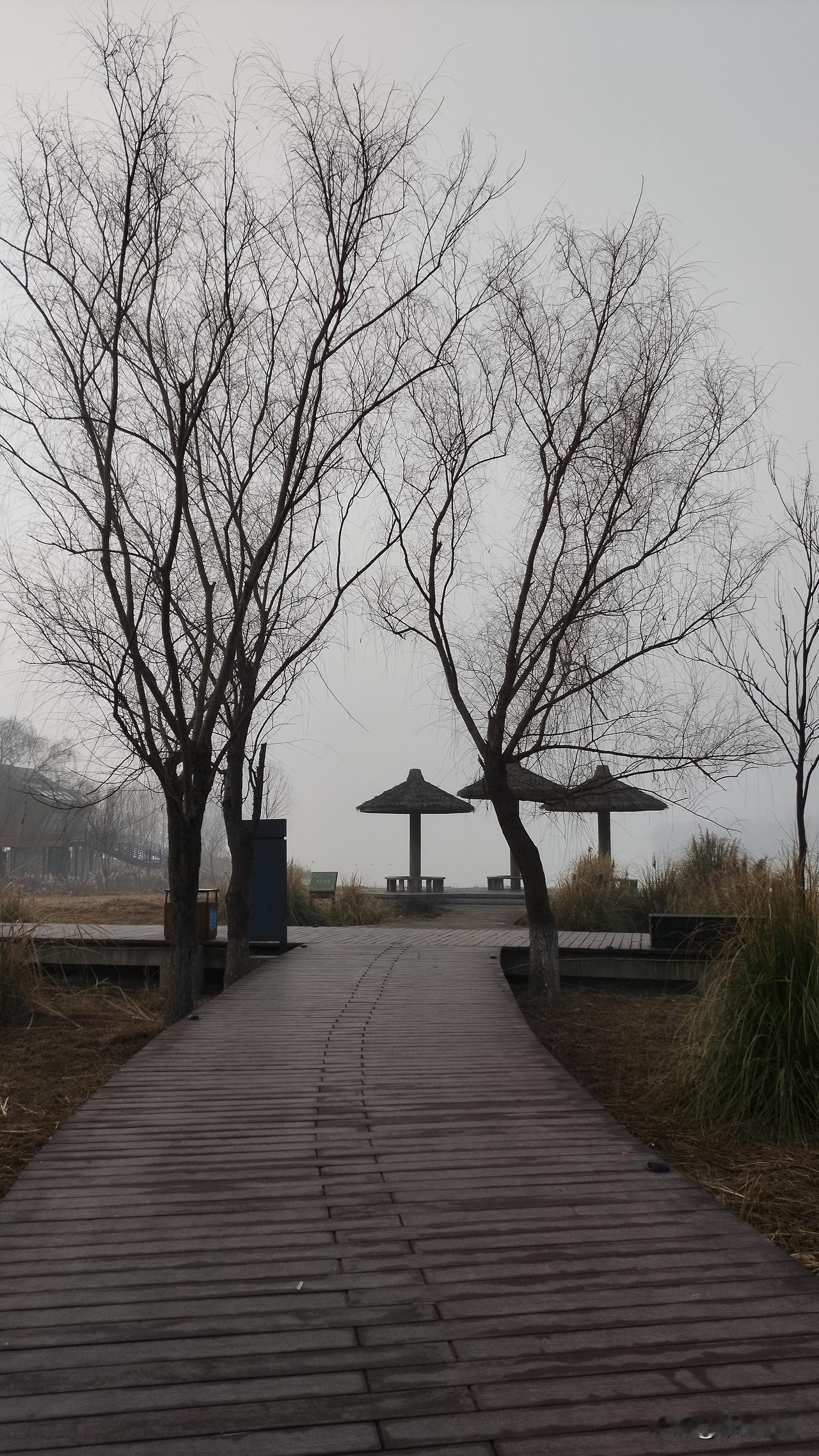 这两天襄阳特别的冷。冬日的时光，总是带着一种别样的韵味。就像前段时间那场突如其来