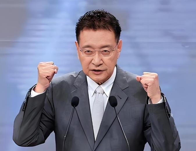 “大陆好像是故意放佩洛西进入台湾的！” 很久之后，台湾知名评论员赵少康表示他终于