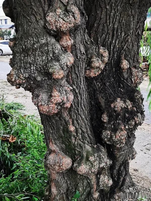 属鼠的你即将迎来什么大好事? 属鼠的有福啦！下周好事成双。下周三早上9:47，手