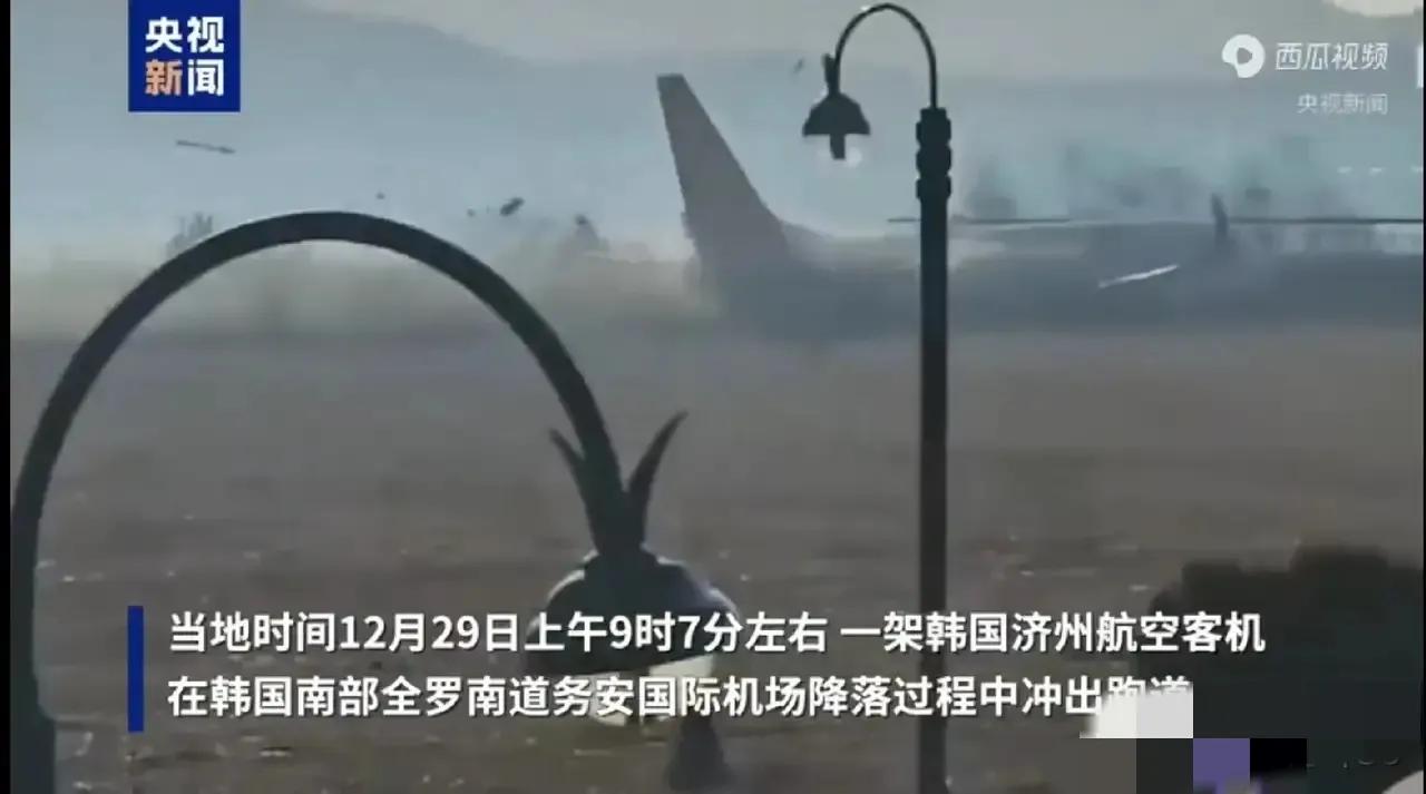 近期航空事故频发，阿航客机出事不久，韩国又一架客机爆炸起火。从现场视频可见，飞机