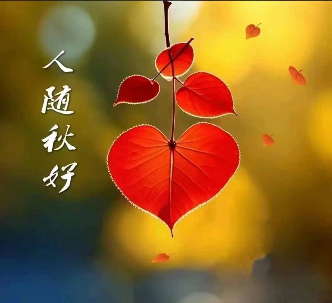 人生最好的时光是现在，为过去后悔，为未来担忧，都不如好好把握当下！ ​​​