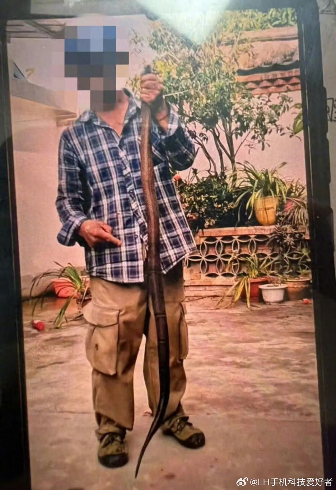 男子抓毒蛇被咬先合影结果进ICU抓住这么大的毒蛇也是真够大胆的，但是不要去轻易触
