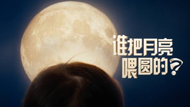 中秋的月亮，年年都在讲
今年，我们讲点不一样的
胖嘟嘟的脸蛋、圆滚滚的肚皮、圆溜溜的脑袋
金领冠用一