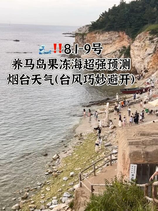 📍8.1-9号烟台养马岛果冻海超强预测