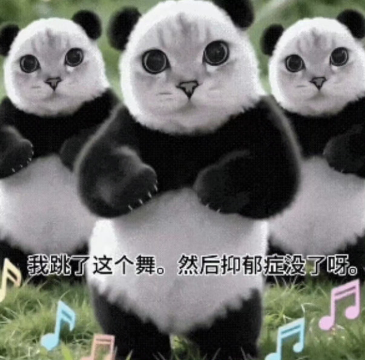 我真找不到一个能凸显我野蛮霸气酷炫暴力的头像了，🈷️的背景图被我闲置了 