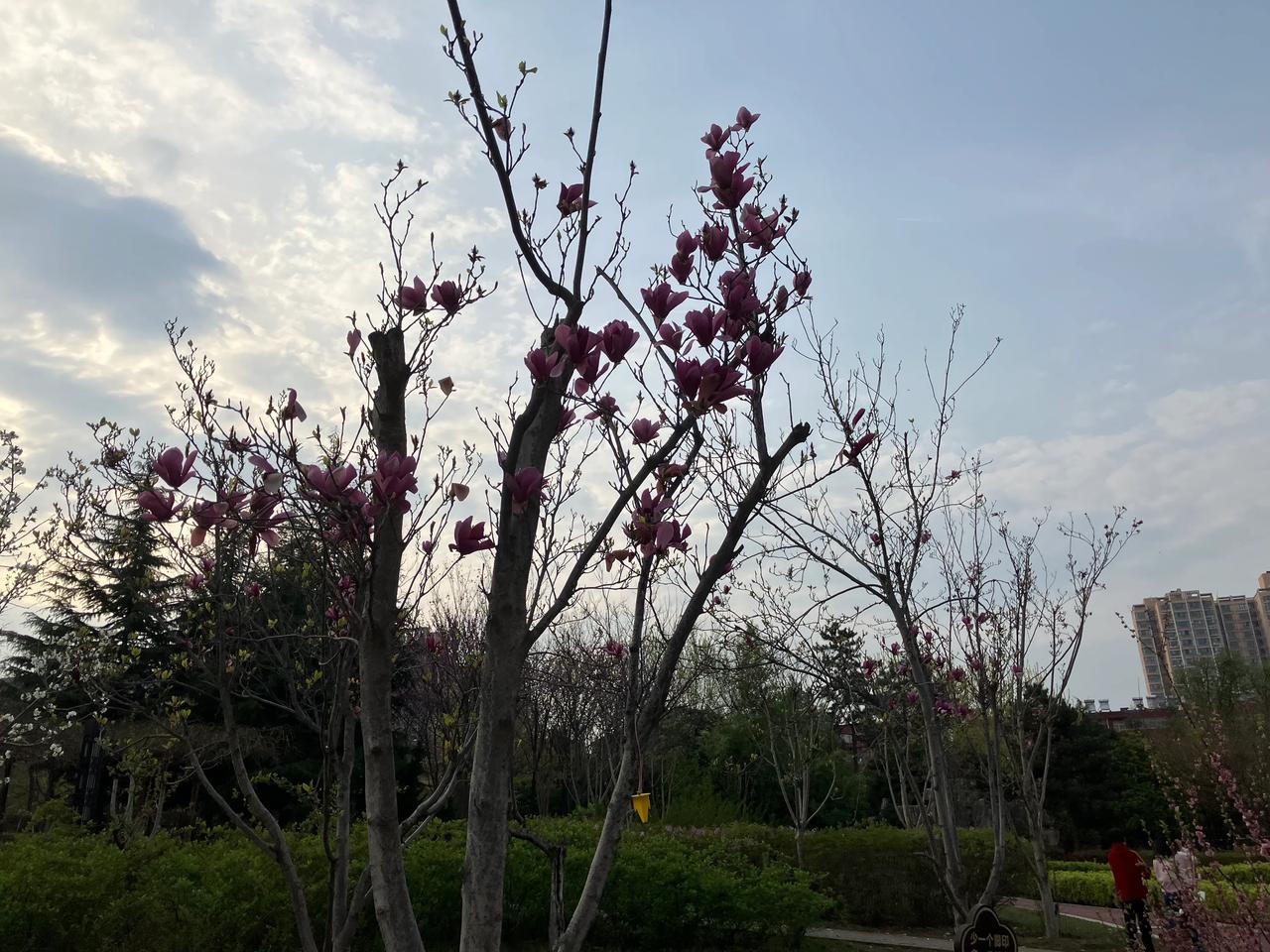 #上联：残花无蝶恋，求下联#

残花无蝶恋，
朽木不可雕。