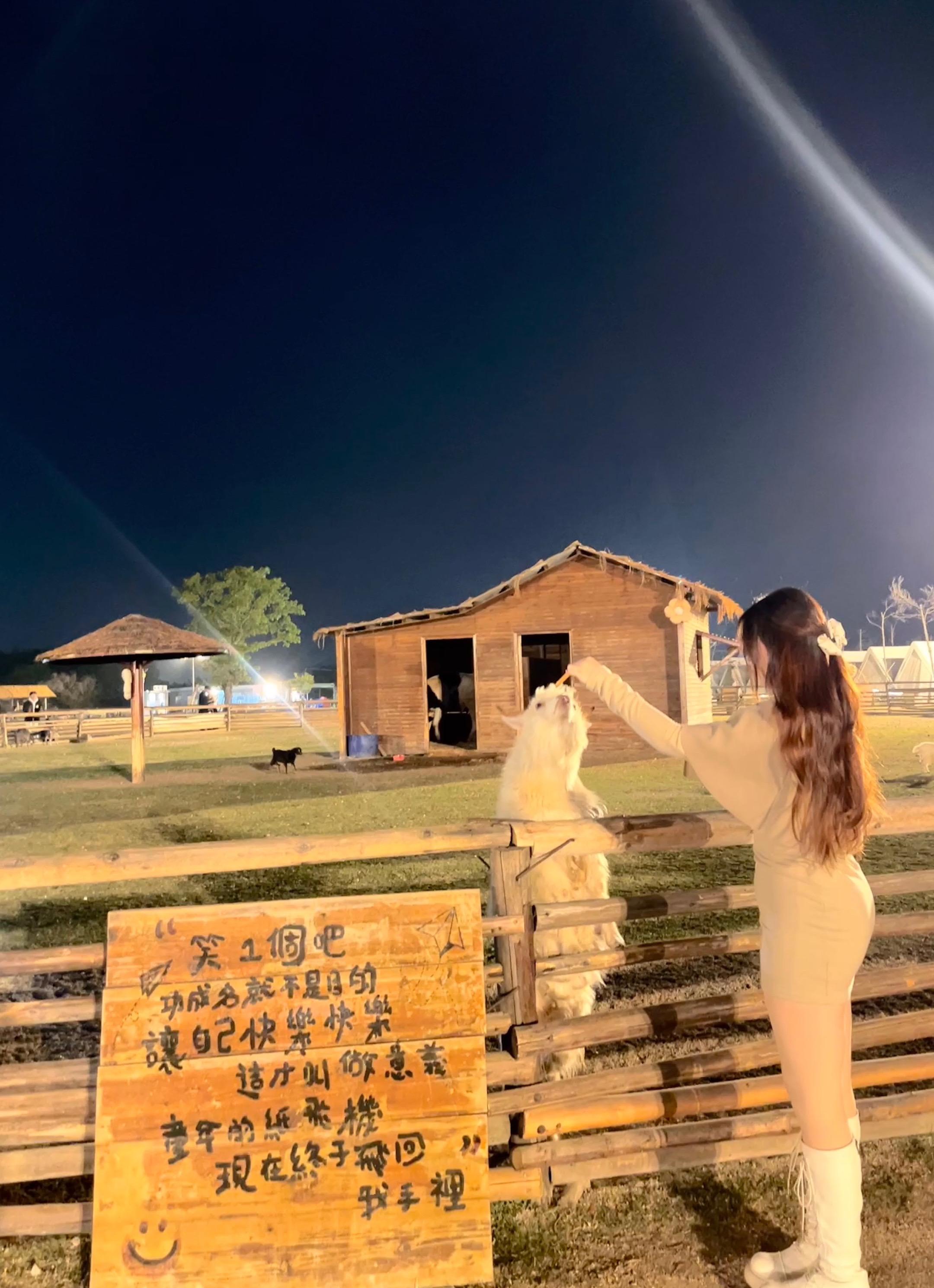 牛马日记🐴 🦙 🐮