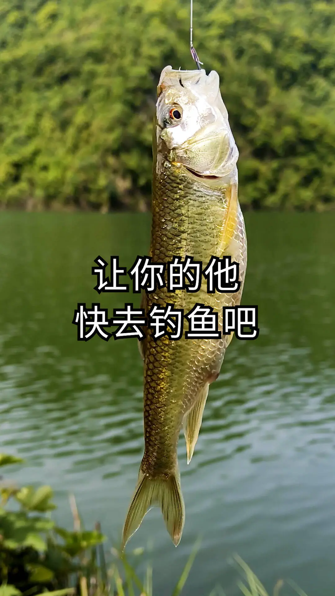 让他去 吧！