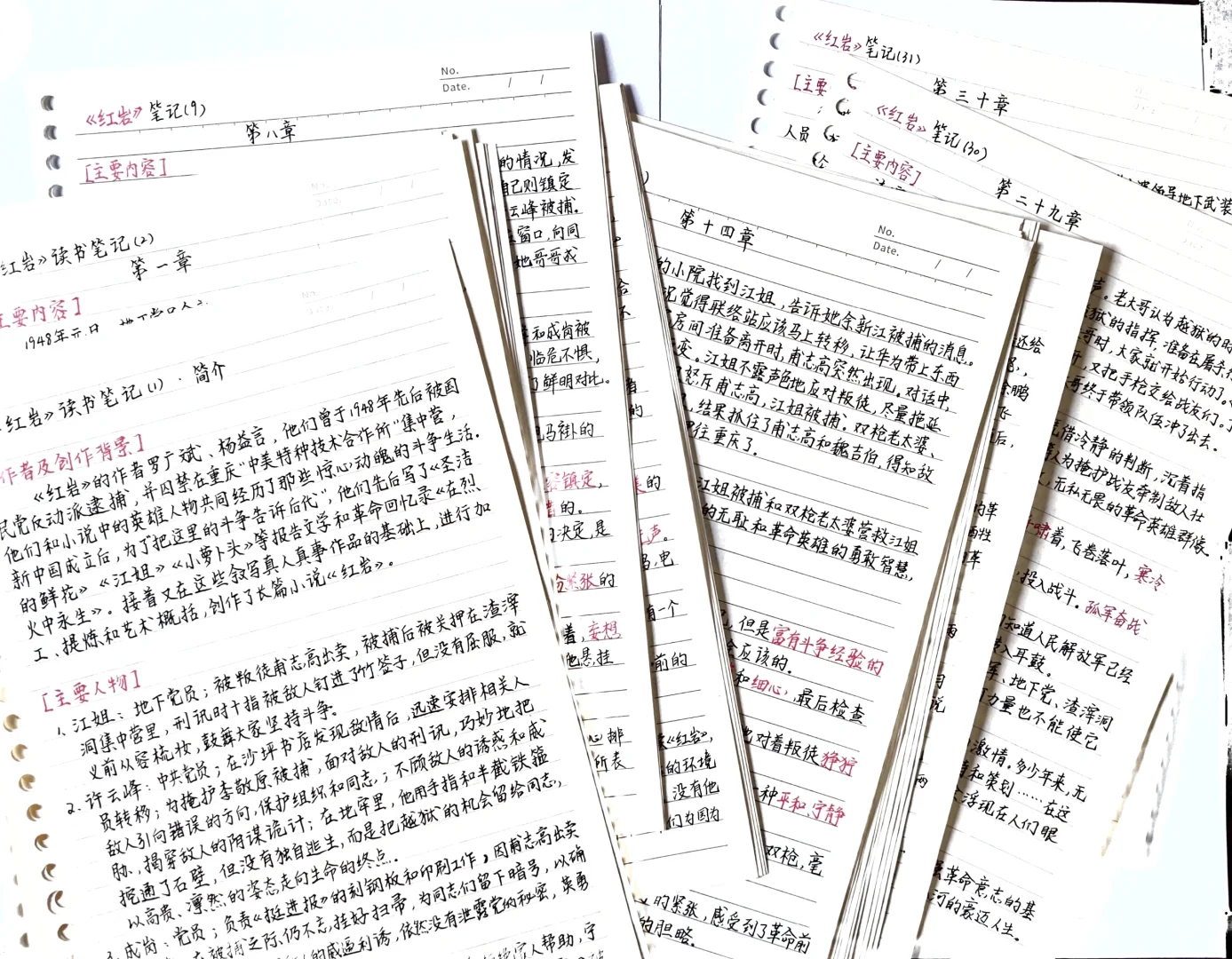《红岩》读书笔记三十章全部更新完毕