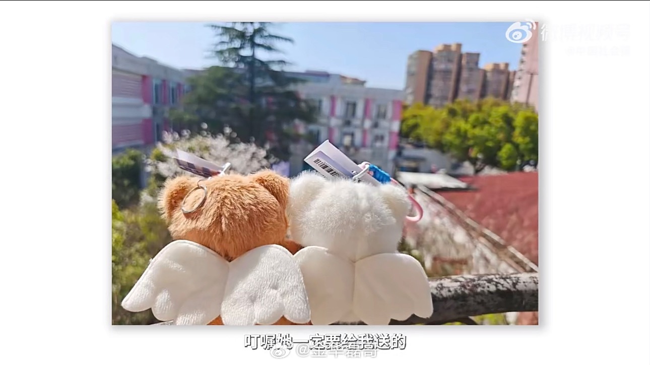 患者夫妻临终病房补办金婚弥补遗憾十五年坚守，三千次送别。她用温柔化解终点的冰冷，