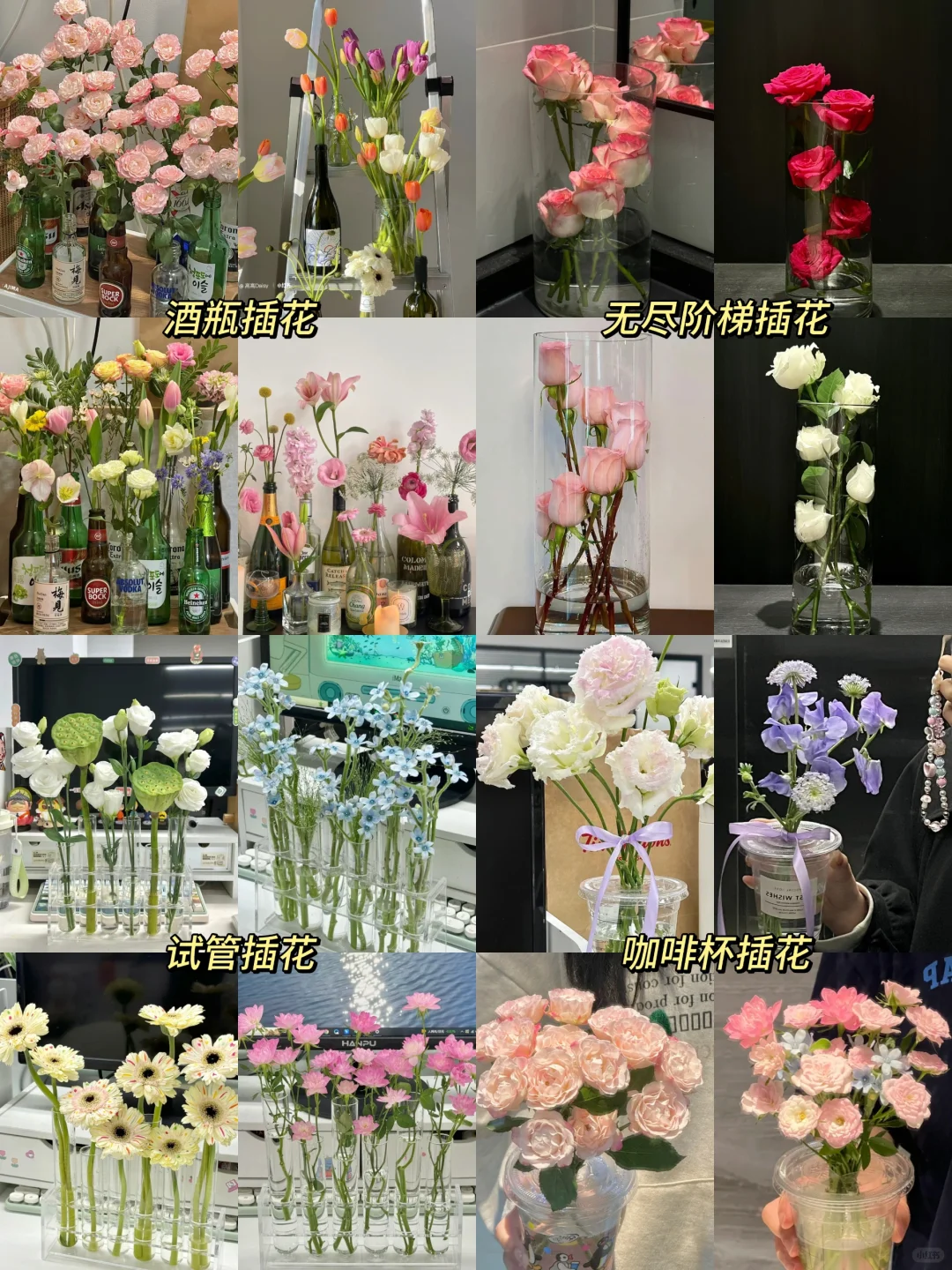 适合年轻人的4种养花方式！看看你是哪一种