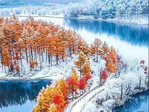 雪
瑞雪相约舞玉身，
妖娆结伴渡凡尘。
云霄得令徘徊尽，
装裱新园瀚世臻。