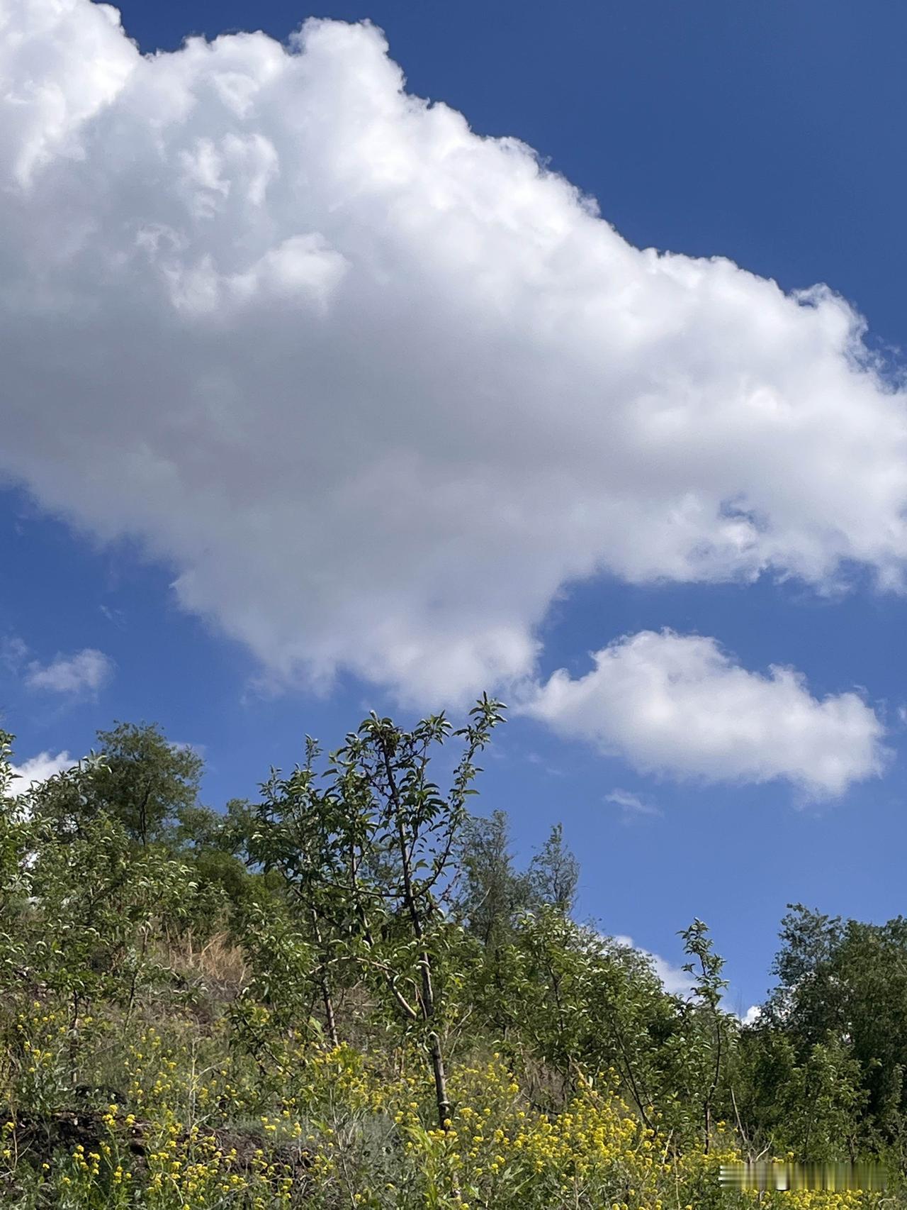 湛蓝的天空
灿烂的夏阳
彩蝶在翩翩起舞
野花散发淡淡馨香
站在山顶
远处的山峦连