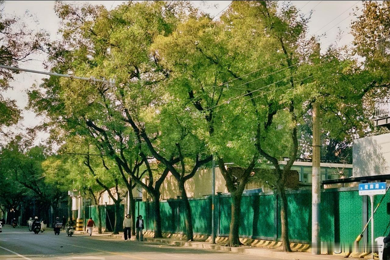 为何存钱这么费劲？一年攒个10万，8万都费劲，然后就是说收入低，消费高，怎么能攒