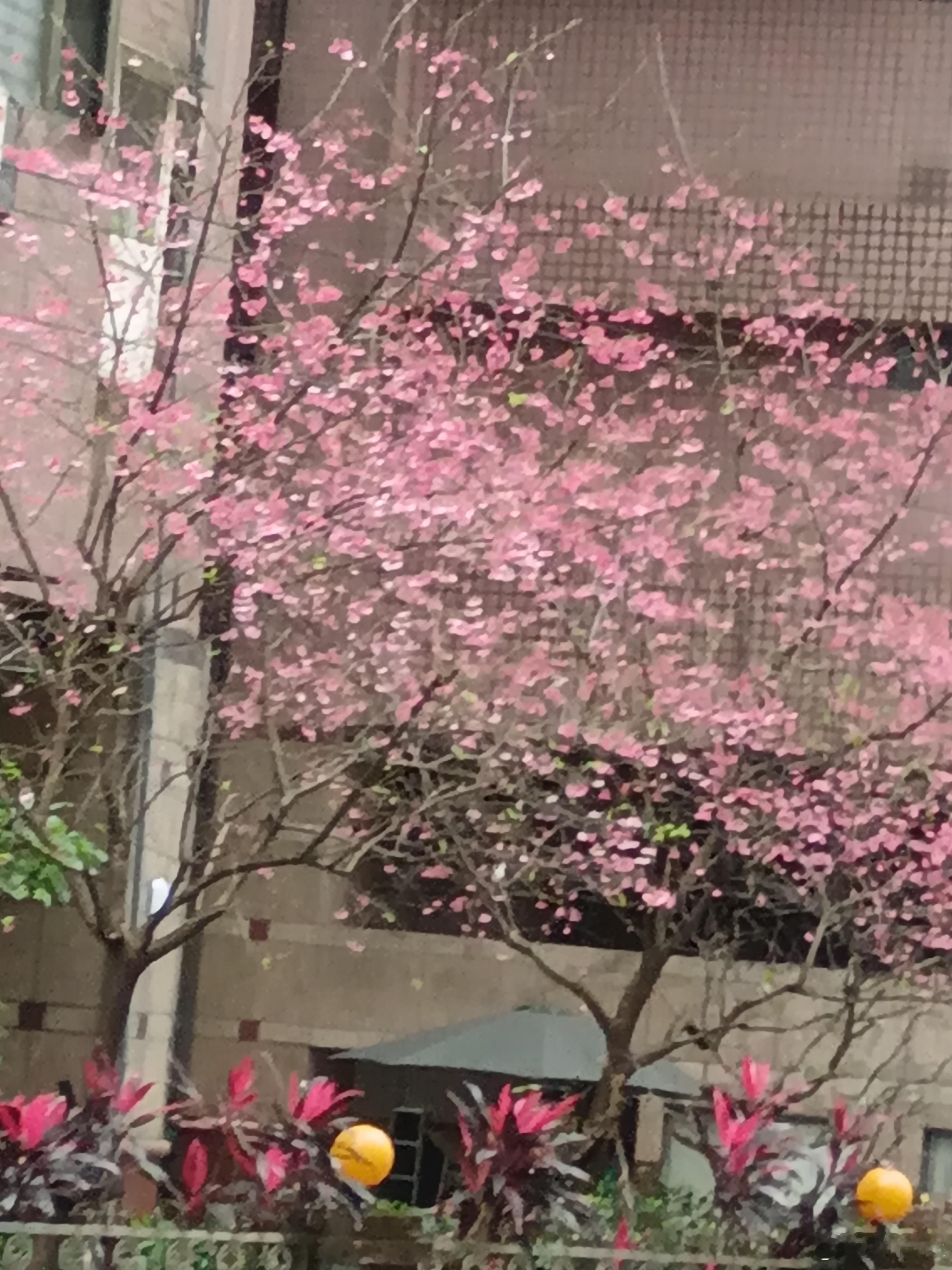 人生 人生的下半场，善待自己，做个简单的人，少与人纠缠，不生气，不取悦，放下别人