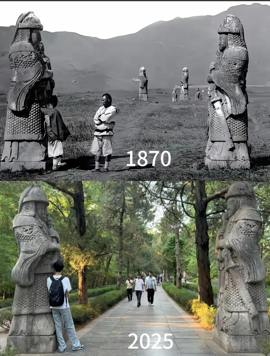 又是一年麦收季，
想想从大一统的秦朝到今年，
麦子也不过熟了2245次，
今年在
