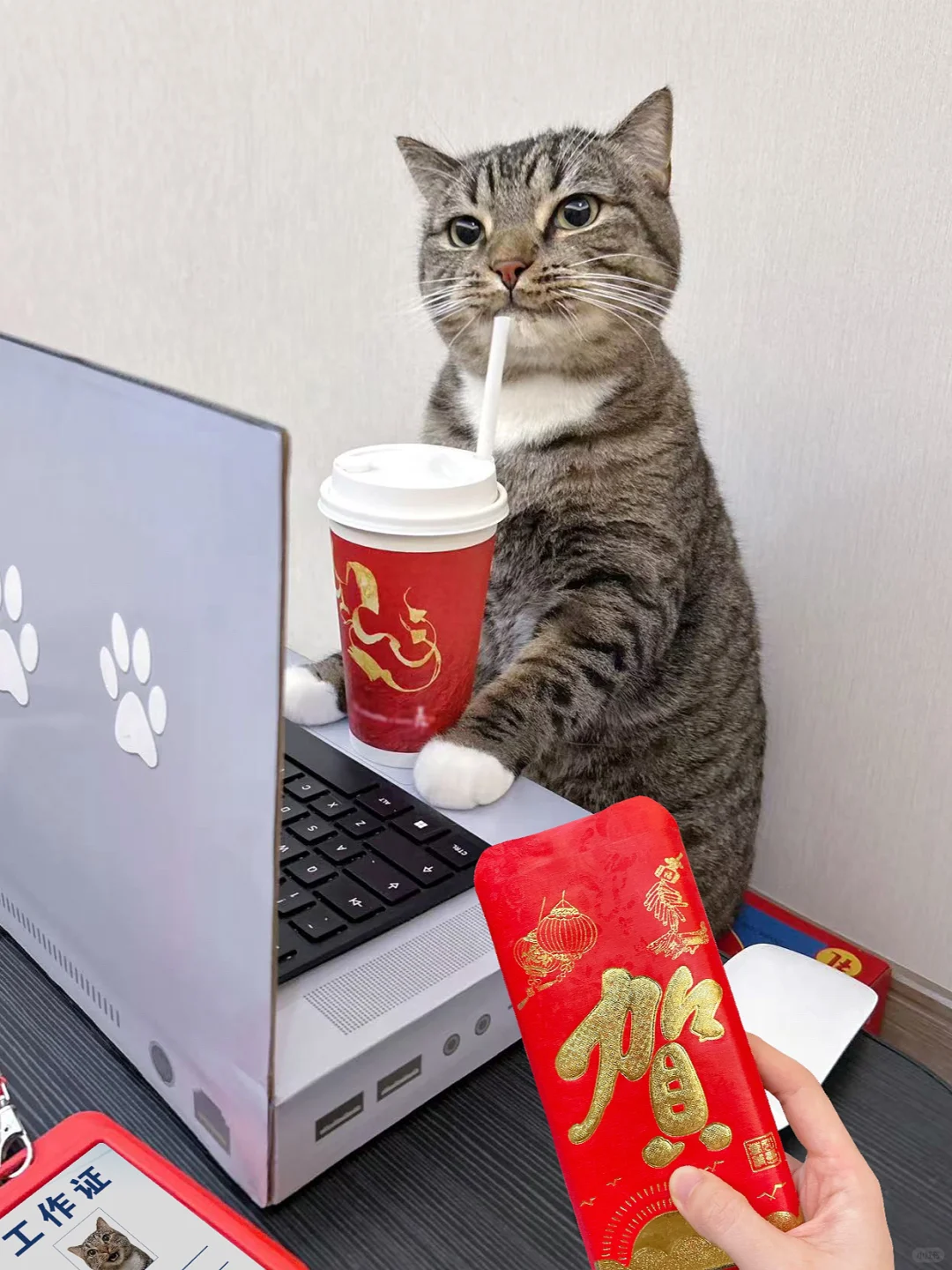 求助！同事总偷喝我奶茶怎么办啊？