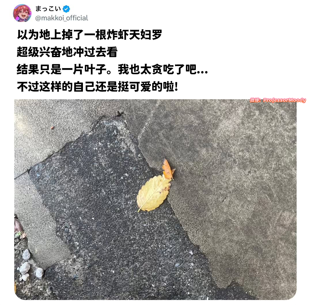 小馋猫 meme  /  
