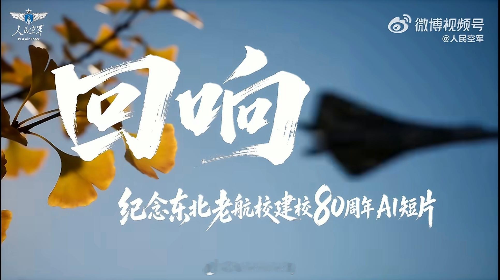 好大一片银杏叶190视角