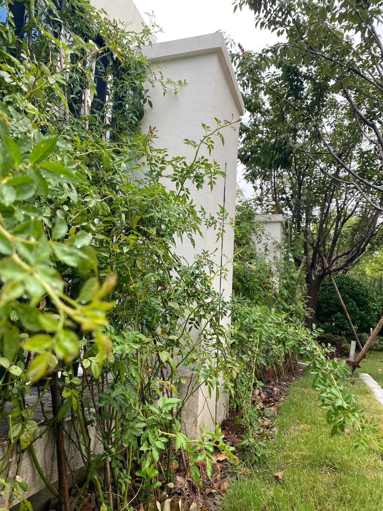 当别人毫不客气的否定我……

有时候，我们总被别人否定，

比如：

“你不适合