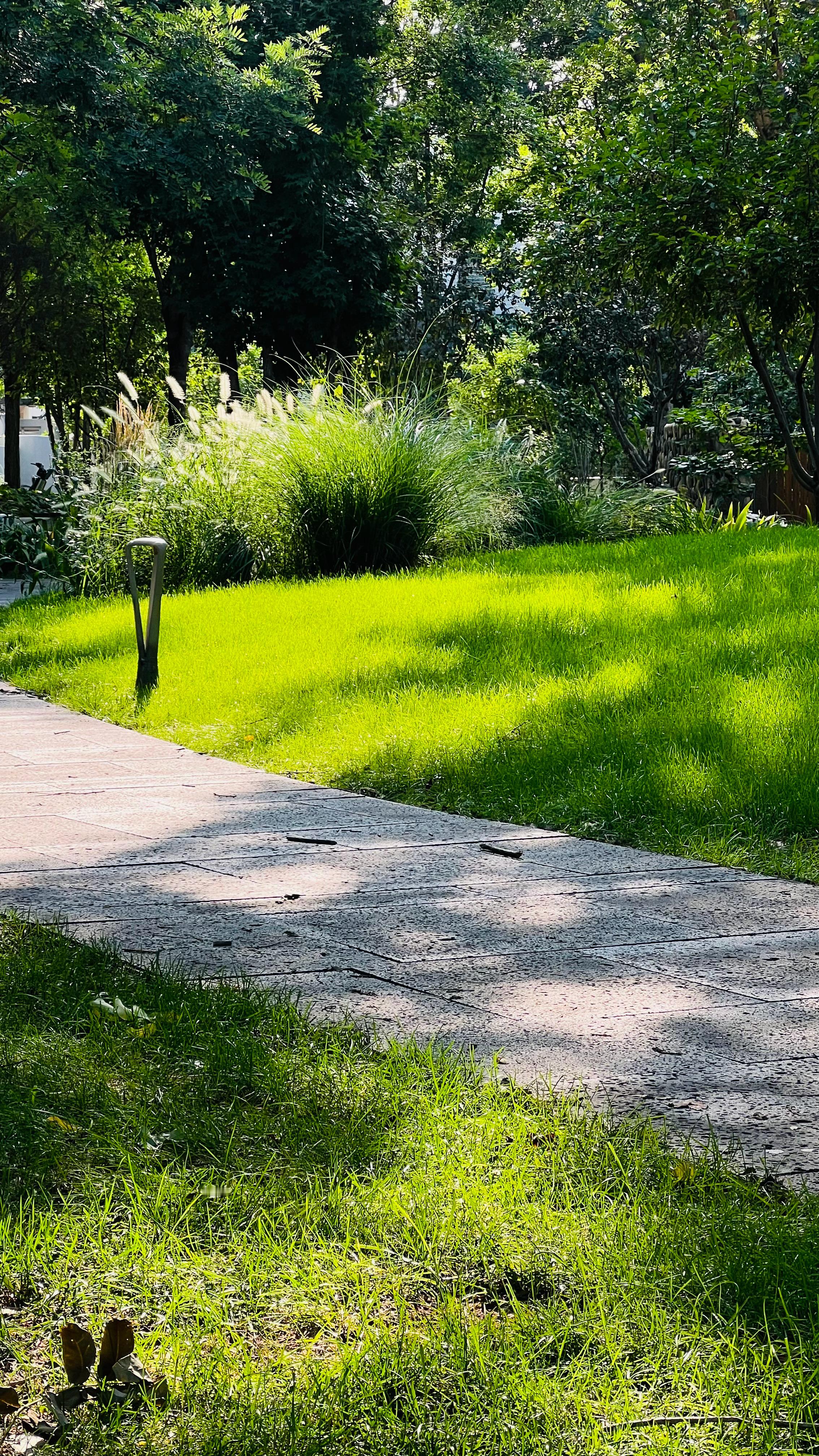 早啊☀️ ​​​