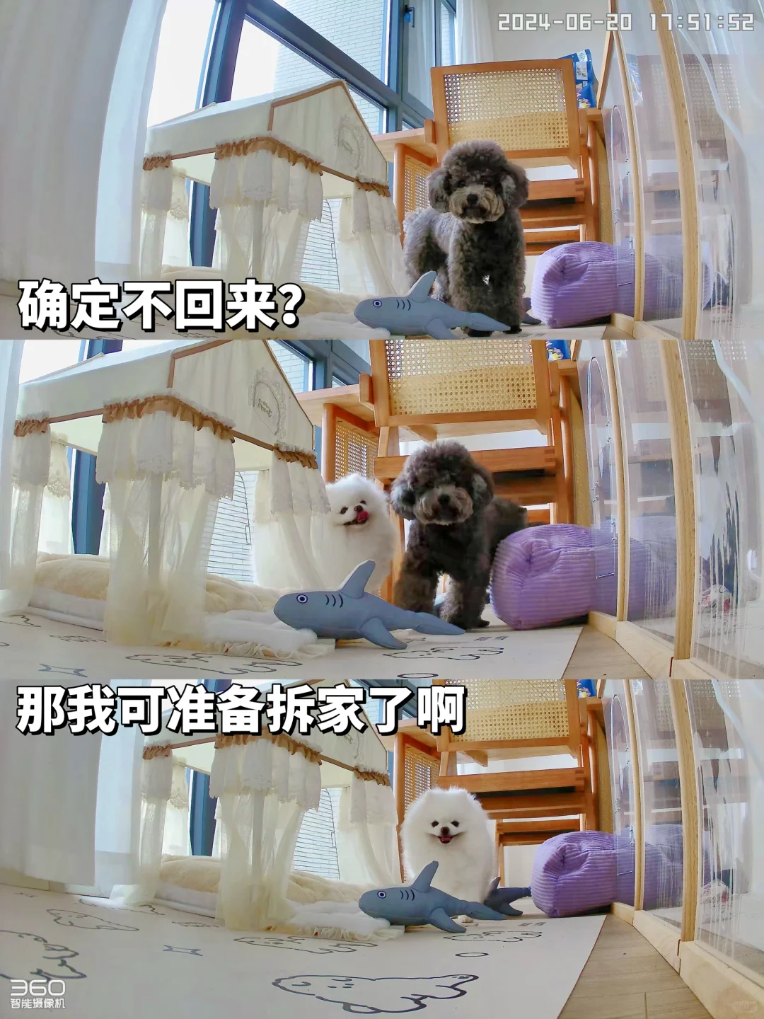 你放心宝自己在家的话…就走吧！！