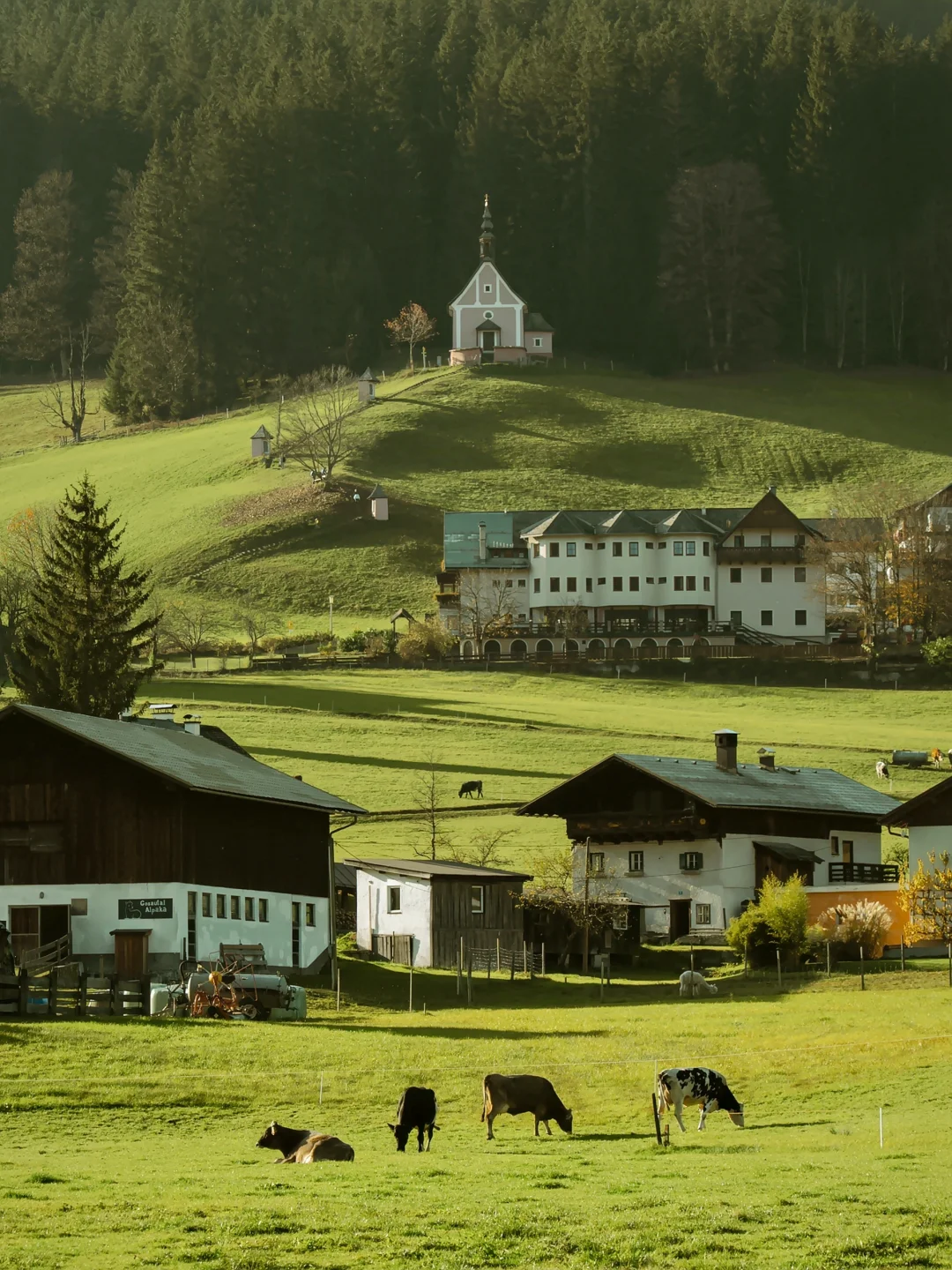 奥地利湖区一来一个不吱声啊‼️附公共交通