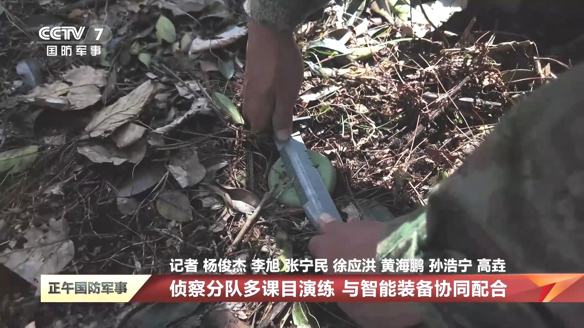 踩到松发雷后的处置方法 