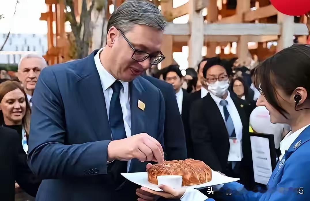 我们的心胸没那么小吧，人家武切奇总统访问日本是正常的国事访问，你心里酸溜溜的干嘛