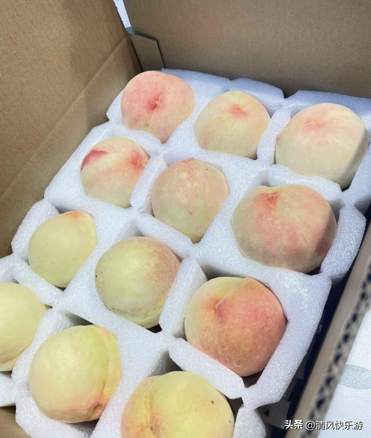 太气人了，今天正式回应一下那些认知低的键盘侠，和对电商无所知的小白们，你们听好了