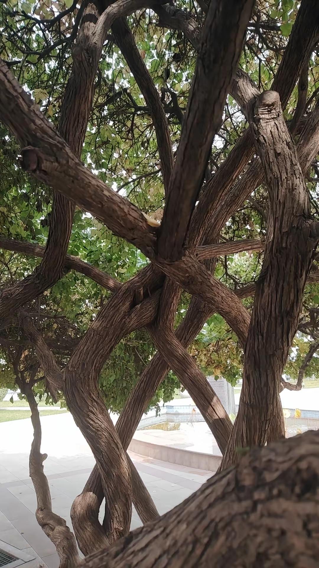 过去出书拿版税
现在出书倒贴钱
横披:~~~~