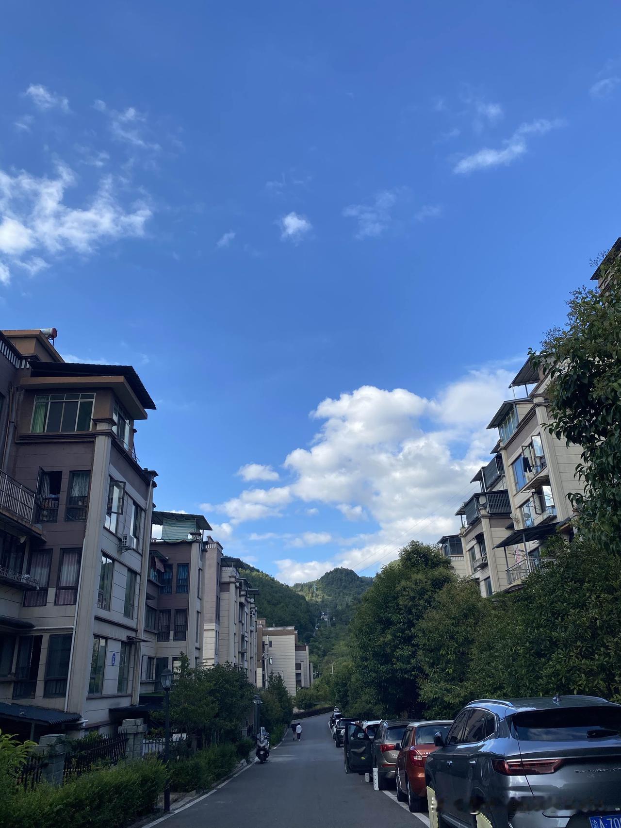 一夜间，避暑山庄的桂花开了。

今晨散步，风吹过，一阵幽香沁人心脾，原来是桂花开