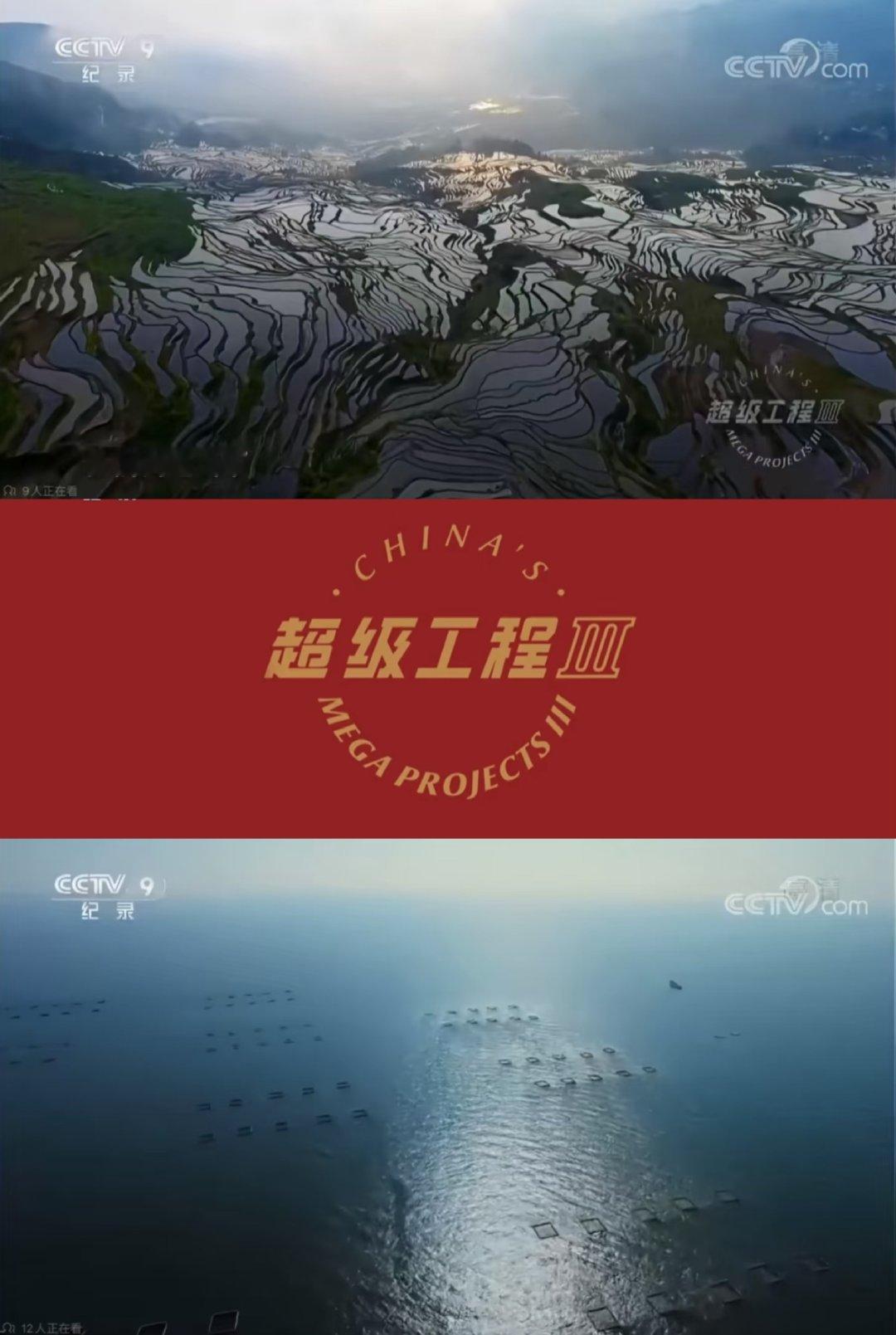 清北学霸原来跟我看一样的片 清华的《生命奇观》把自然拍得超震撼，北大的《闪闪的儿