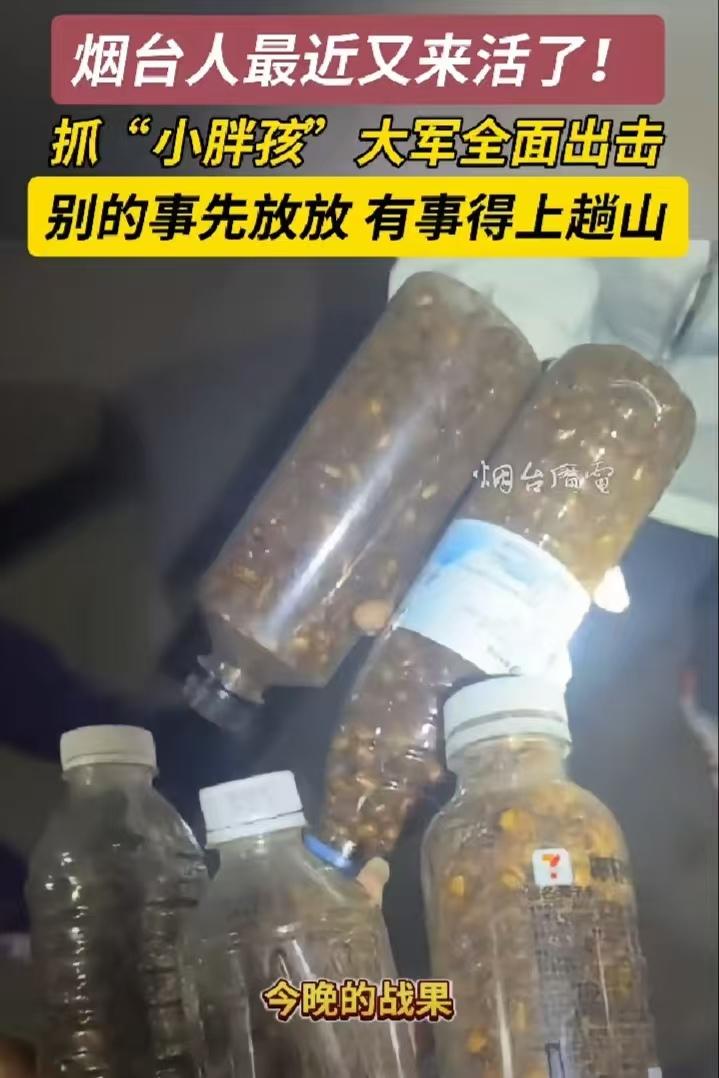 不服不行!山东烟台，不少人把车开到山脚，还带了一堆工具，也不上山，就在那等天黑，