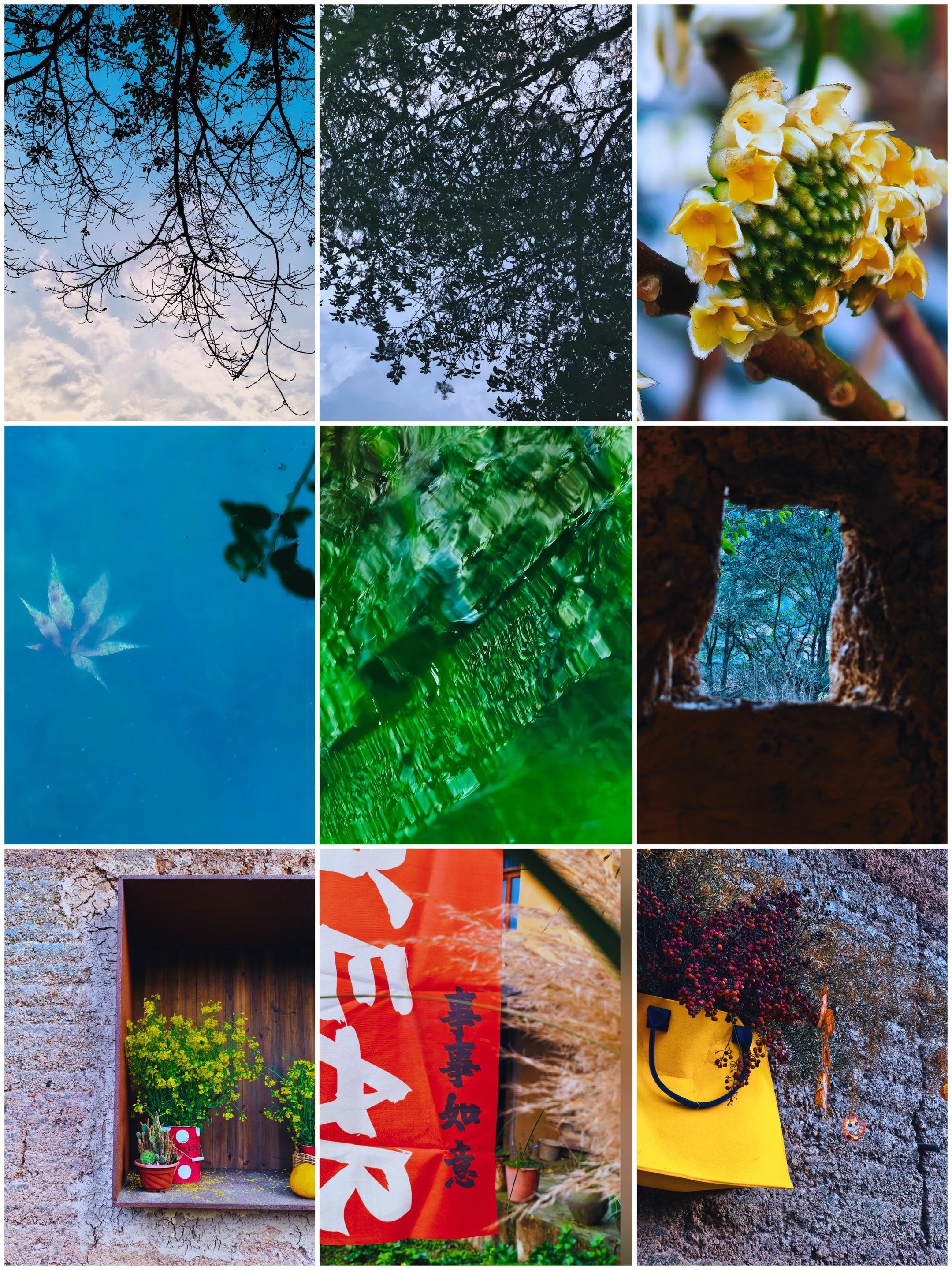 自然以风为笔、以光为墨，绘就四季温柔画卷。疏朗枝桠映云影，春水漾叶藏清...