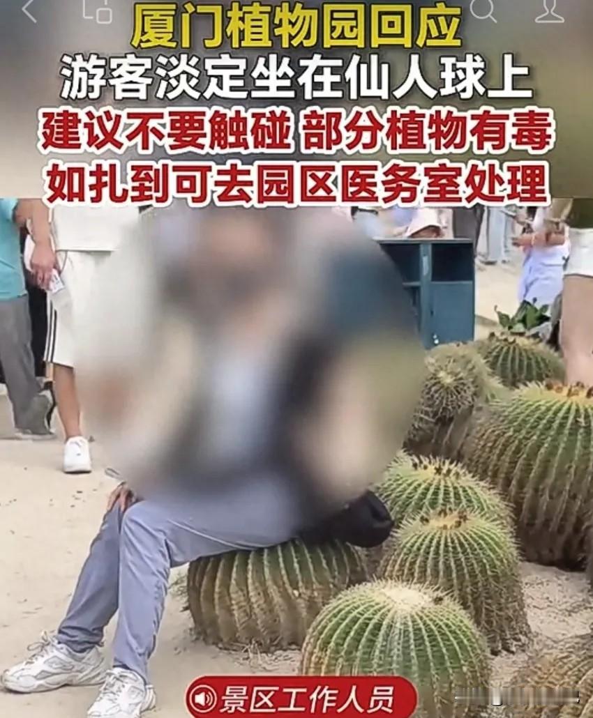 最近厦门植物园这一幕火上热搜！一名游客直接淡定坐在硕大的仙人球上面，被路人拍下视