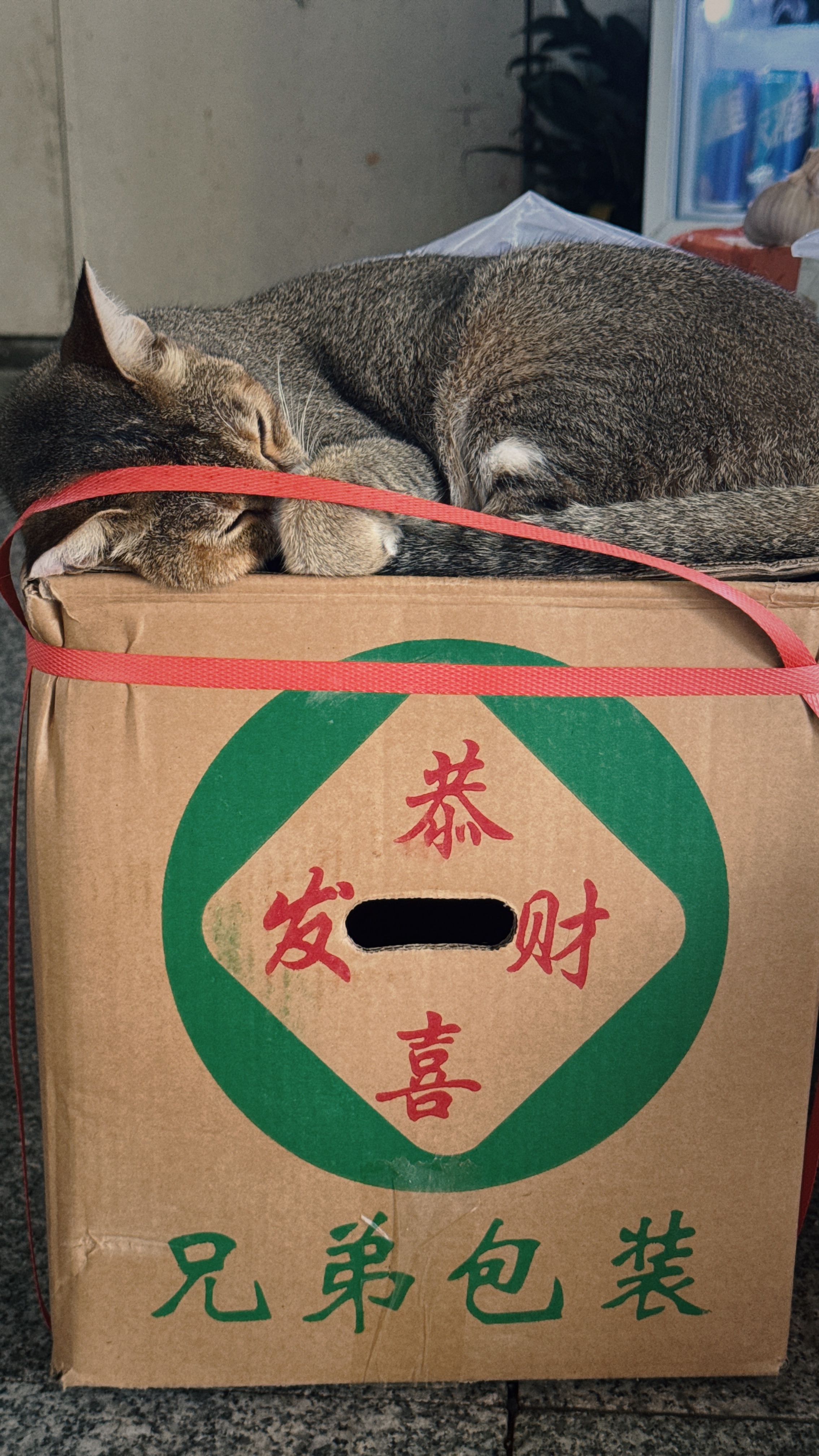 罗湖傍晚。 