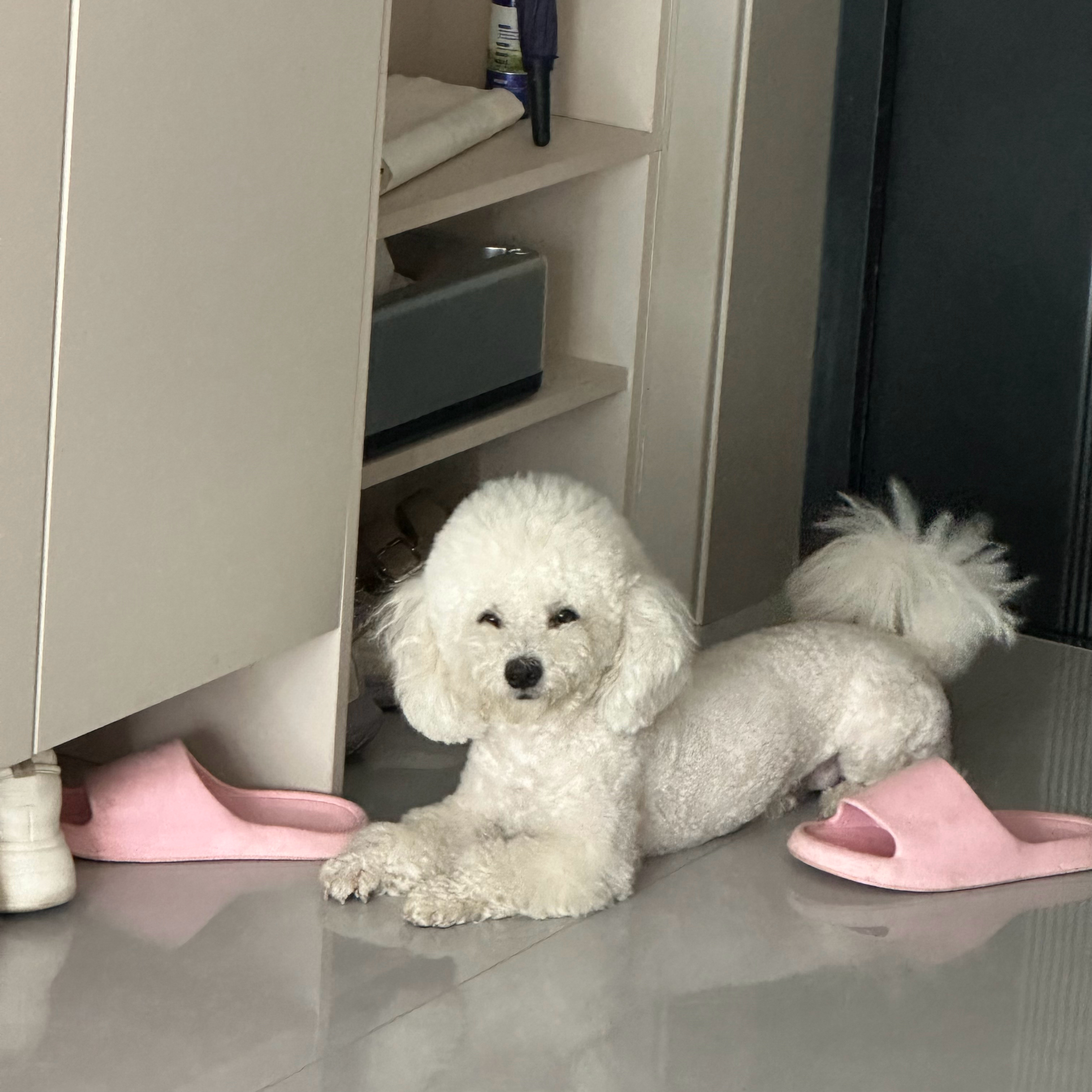 嘴前面的毛将眼睛修成了猥琐的形状 