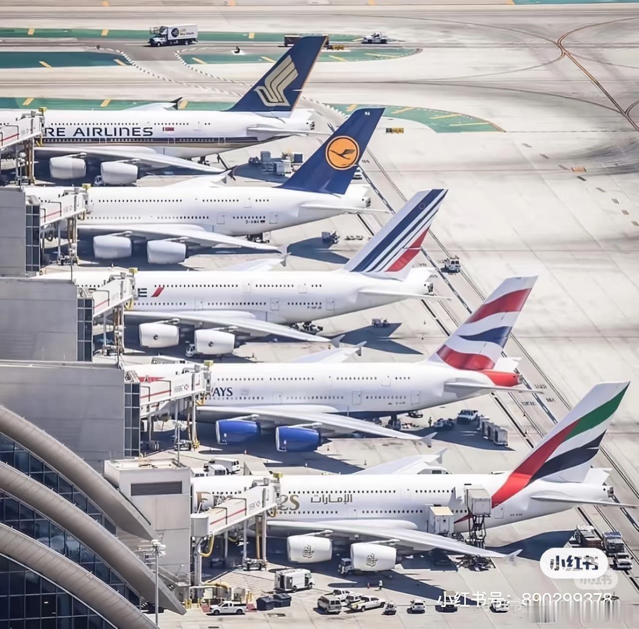 五架A380齐聚的盛况现在的LAX也很难看到了图中法航的380已经退休其他四家还