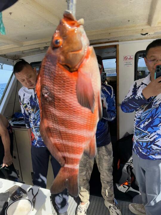 海钓有意思在鱼上钩🎣