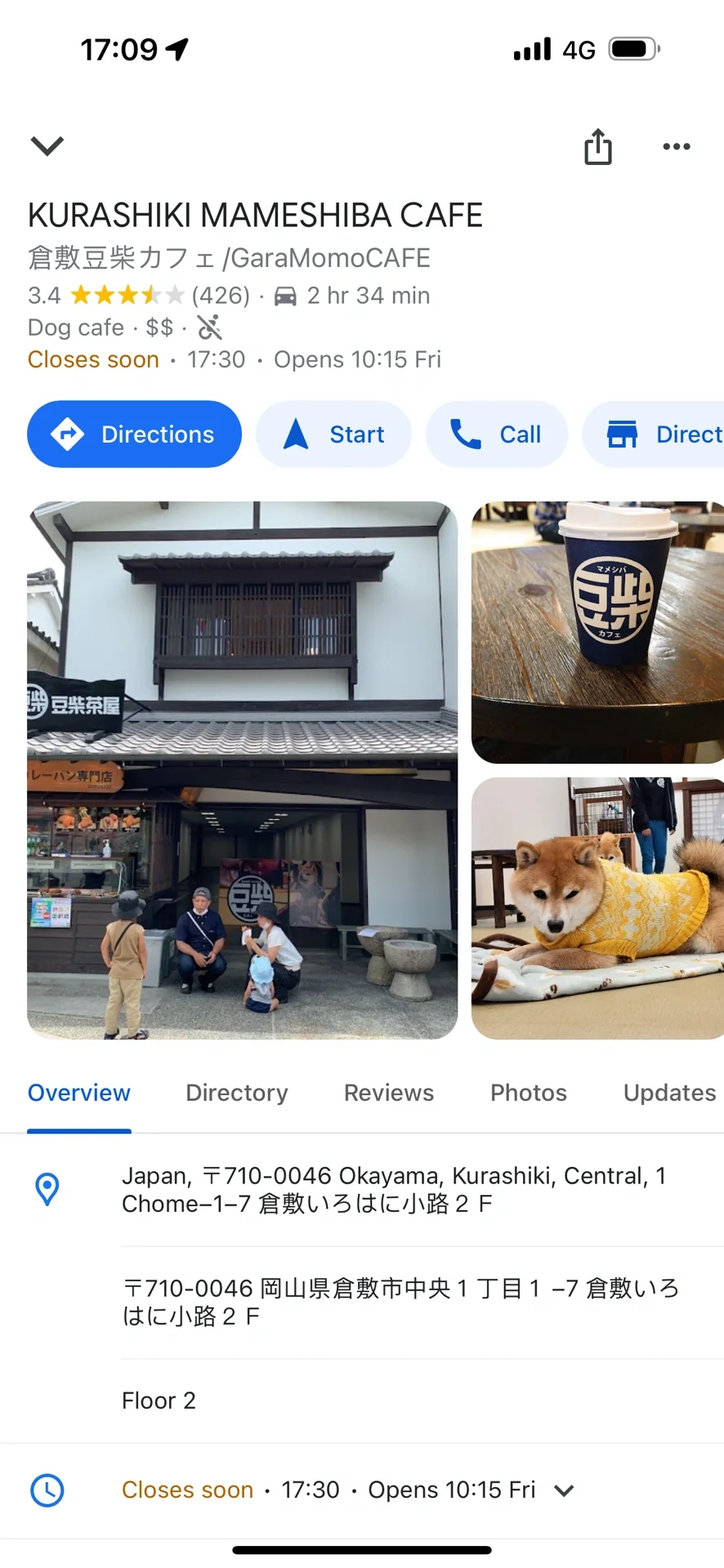 🇯🇵 仓敷的柴犬cafe也太可爱了吧