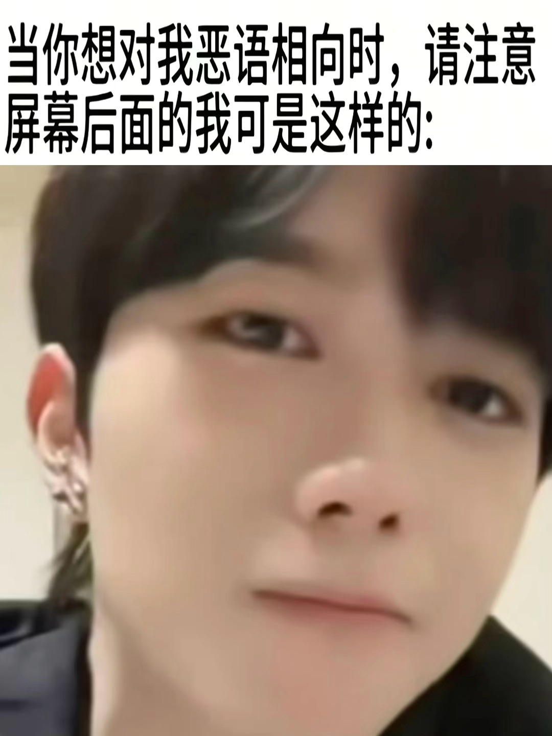 压力黄星一只猪猫？ 